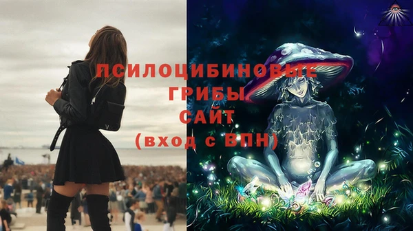 скорость Краснослободск