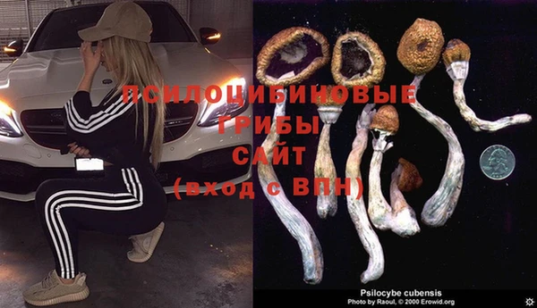 скорость Краснослободск