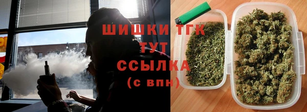 скорость Краснослободск
