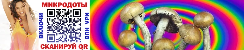 Купить закладки  Аркадак  Псилоцибиновые грибы ЛСД 